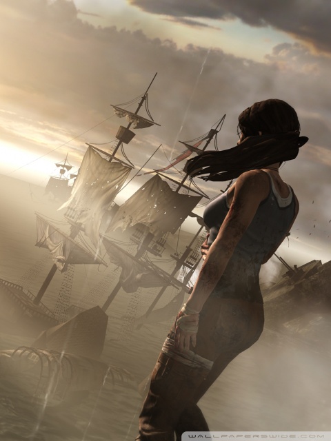 HD WallPapers from Collection - Lara_croft_survivor_2013_tomb_raider Wallpaper