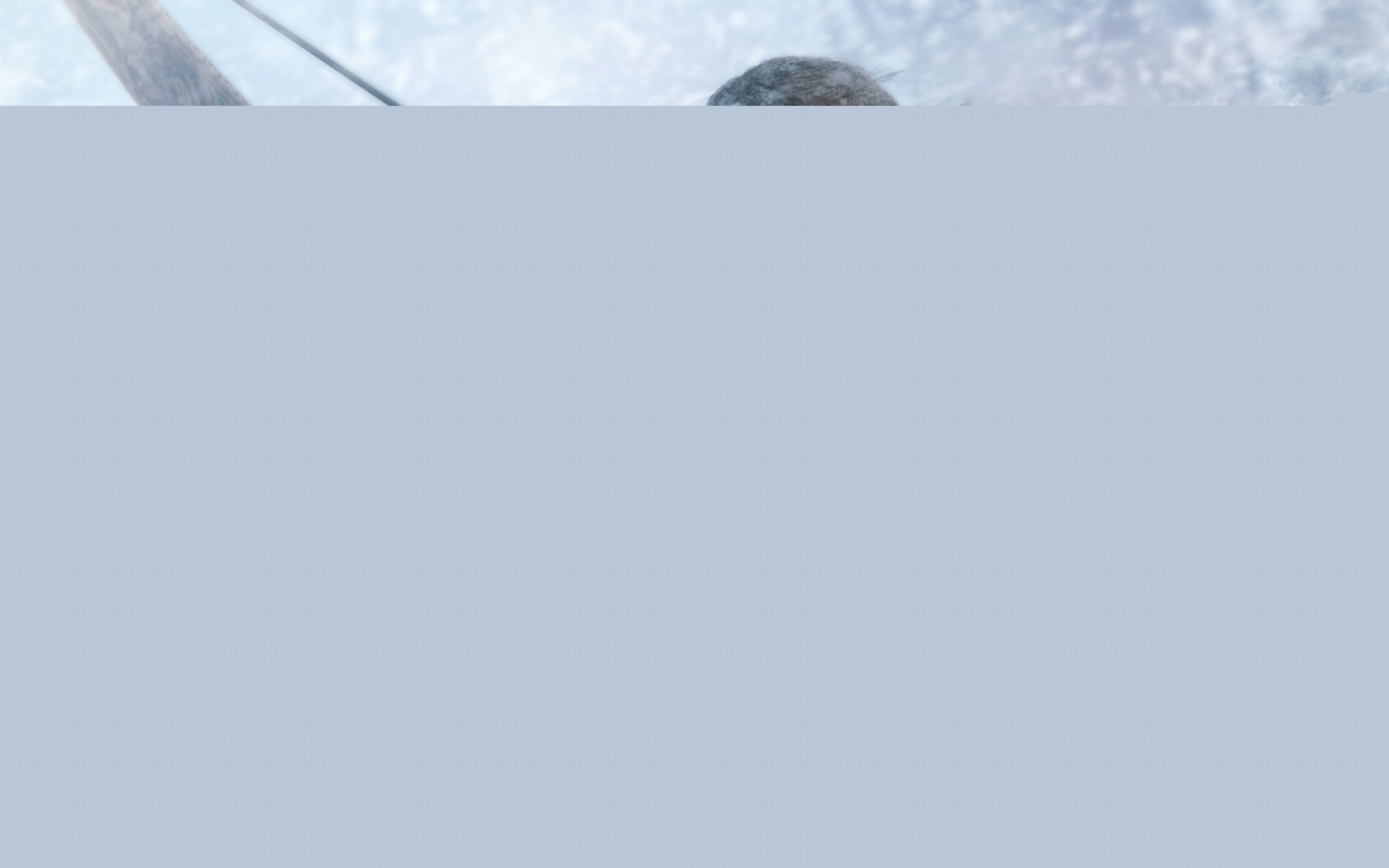 HD WallPapers from Collection - Rise_of_the_tomb_raider_lara_croft_bow_and_arrow Wallpaper