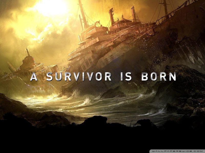 HD WallPapers from Collection - Tomb_raider_a_survivor_is_born Wallpaper