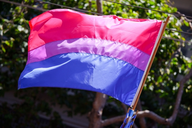 HD WallPapers from Collection - Bisexual Pride Flag