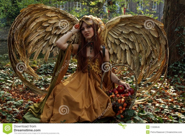 HD WallPapers from Collection - Elf Fairy