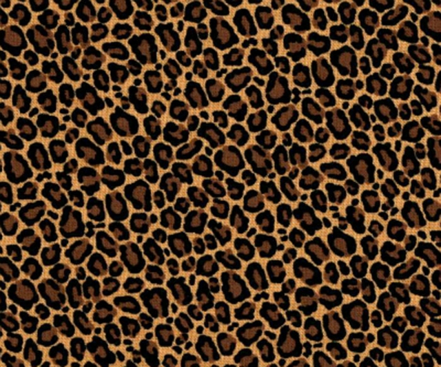 HD WallPapers from Collection - Leopard Skin