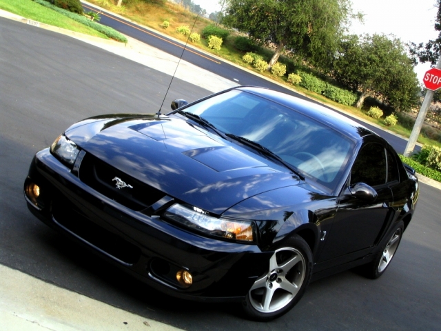 HD WallPapers from Collection - 2003 Ford Mustang Cobra