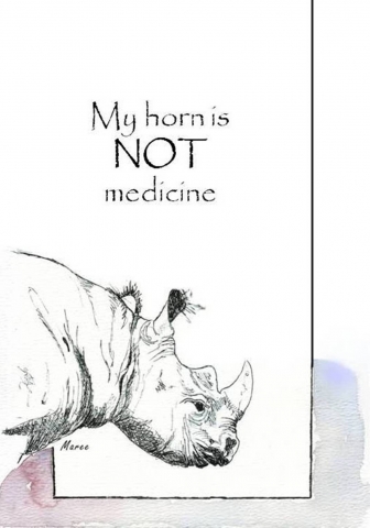 HD WallPapers from Collection - Marcé Rhino